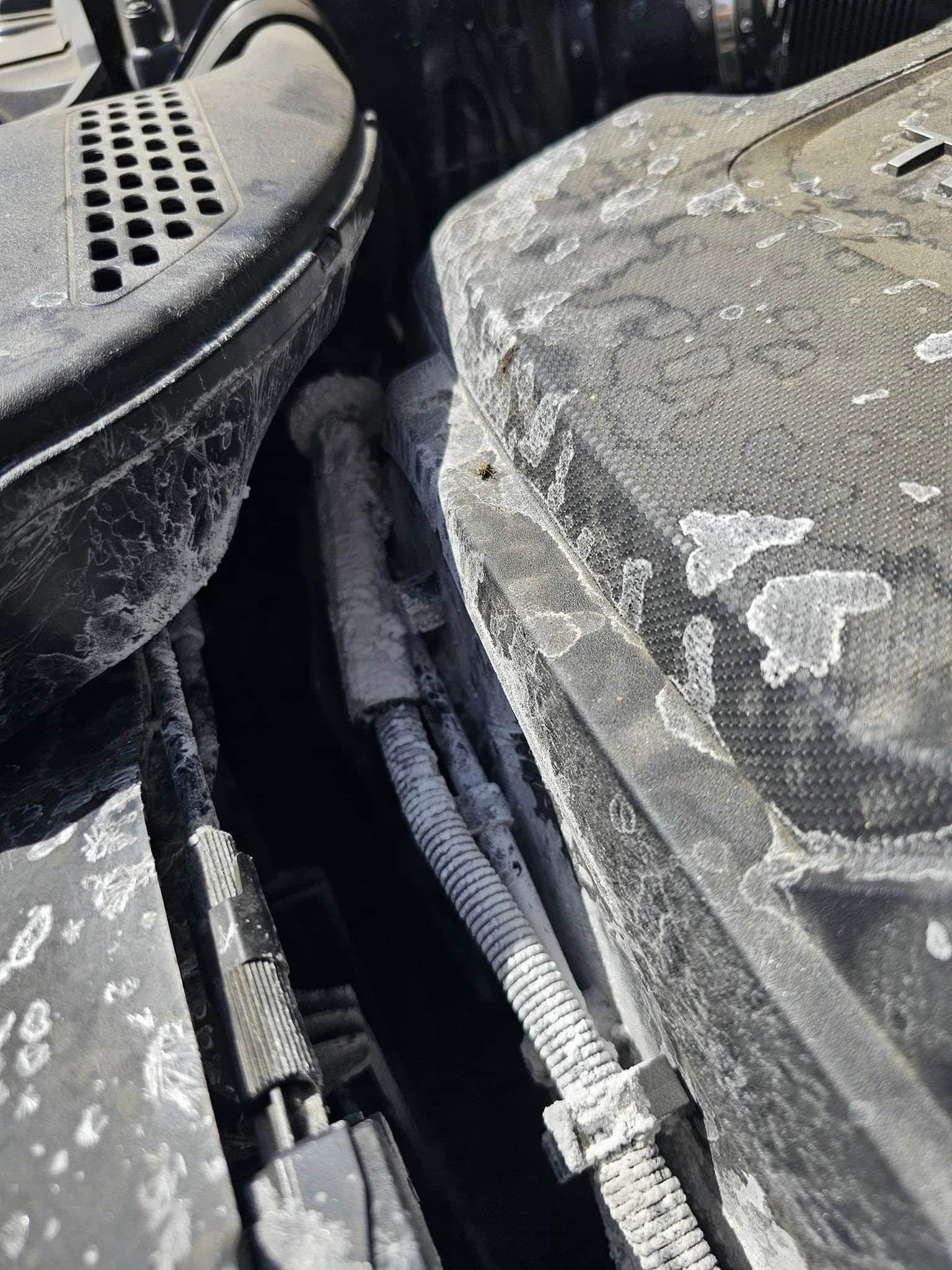 Fuite d’AdBlue dans le compartiment moteur d’un véhicule diesel équipé d’un système SCR